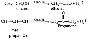 Aldehydes, Ketones and Carboxylic Acids Class 12 Notes Chemistry 12