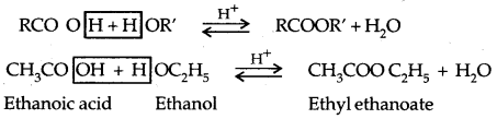Aldehydes, Ketones and Carboxylic Acids Class 12 Notes Chemistry 64