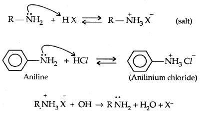 Amines Class 12 Notes Chemistry 13