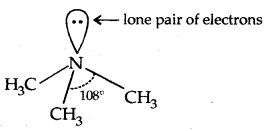 Amines Class 12 Notes Chemistry 2