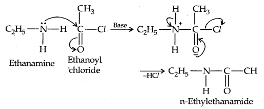Amines Class 12 Notes Chemistry 22