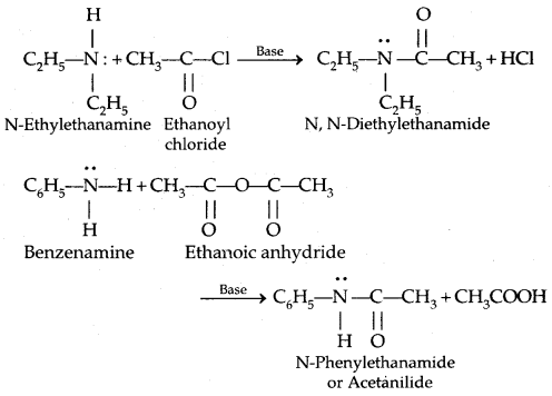 Amines Class 12 Notes Chemistry 23