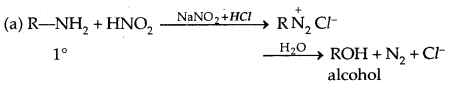 Amines Class 12 Notes Chemistry 26