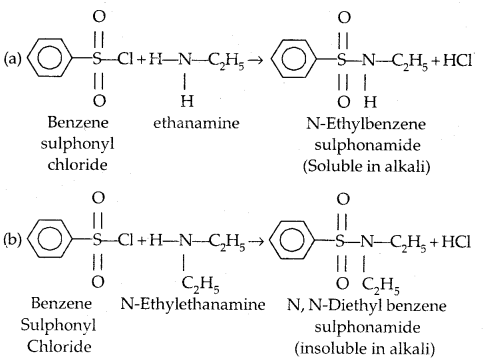 Amines Class 12 Notes Chemistry 28
