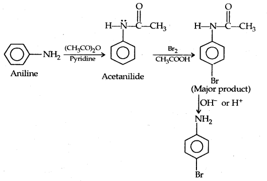 Amines Class 12 Notes Chemistry 31