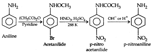 Amines Class 12 Notes Chemistry 34