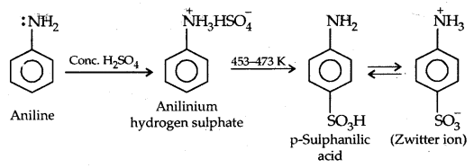 Amines Class 12 Notes Chemistry 35
