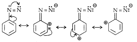 Amines Class 12 Notes Chemistry 36