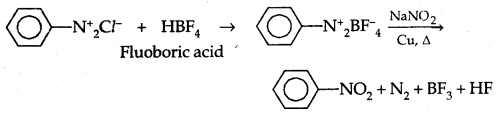 Amines Class 12 Notes Chemistry 41