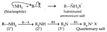 Amines Class 12 Notes Chemistry 6