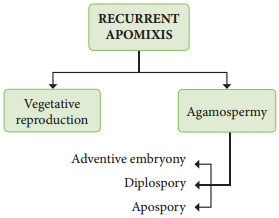 Apomixis Definition and its Types img 1