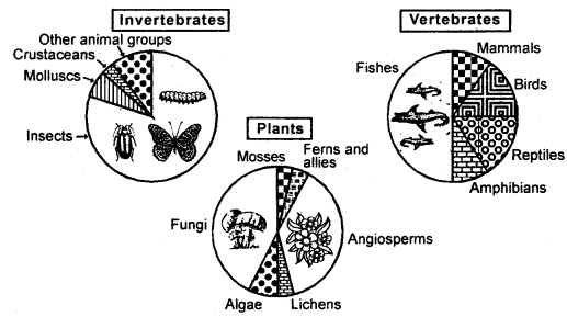 Biodiversity and Conservation 12 Notes Biology 1