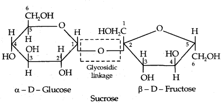 Biomolecules Class 12 Notes Chemistry 21