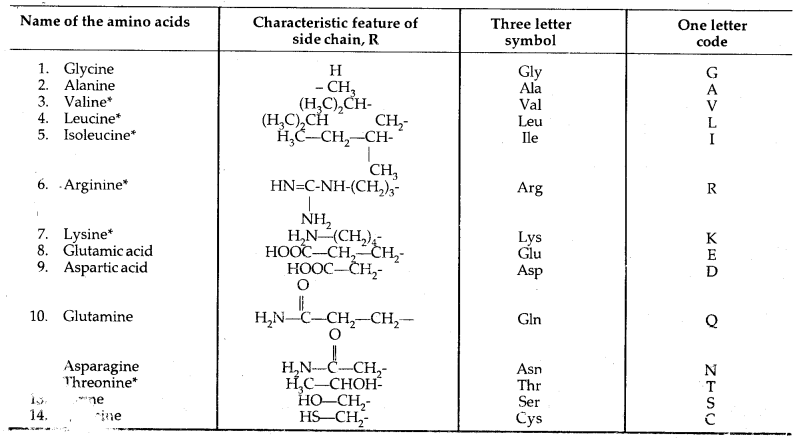 Biomolecules Class 12 Notes Chemistry 29