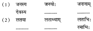CBSE Class 6 Sanskrit Sample Paper Set 2 Q6