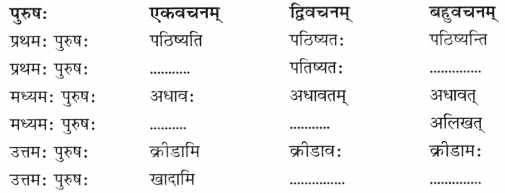 CBSE Class 7 Sanskrit Sample Paper Set 2 Q10