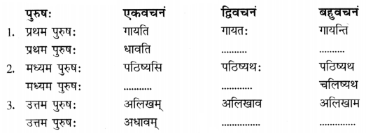 CBSE Class 7 Sanskrit Sample Paper Set 5 Q10