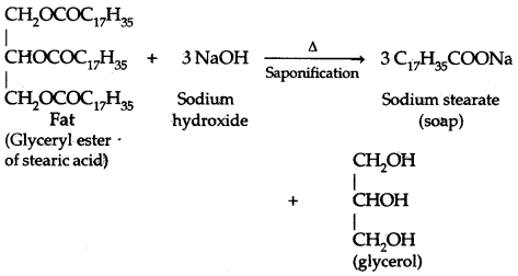 Chemistry in Everyday Life Class 12 Notes Chemistry 17
