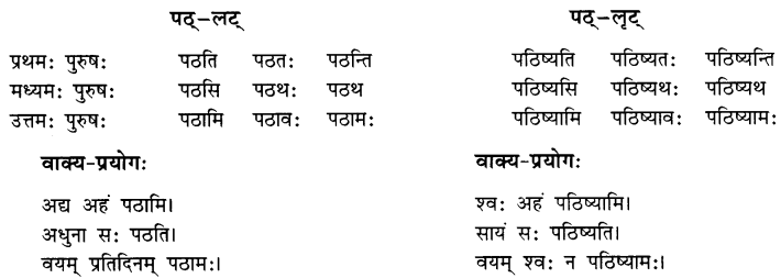 Class 7 Sanskrit Grammar Book Solutions धातुरूपाणि 1