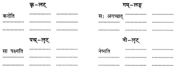 Class 7 Sanskrit Grammar Book Solutions धातुरूपाणि 10