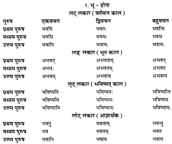 Class 7 Sanskrit Grammar Book Solutions धातुरूपाणि 3
