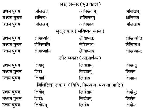 Class 7 Sanskrit Grammar Book Solutions धातुरूपाणि 7