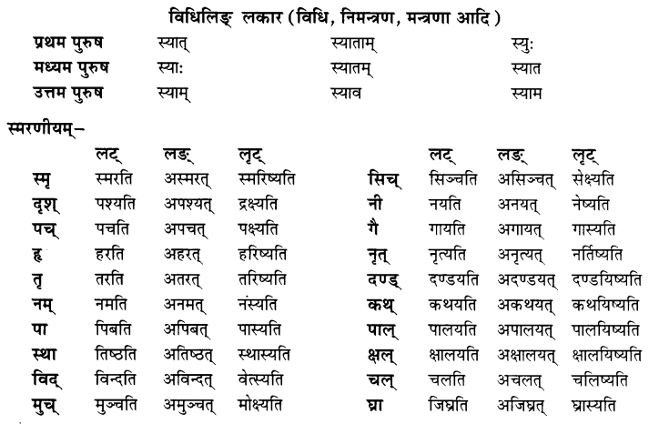 Class 7 Sanskrit Grammar Book Solutions धातुरूपाणि 9