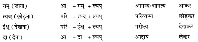 Class 7 Sanskrit Grammar Book Solutions प्रत्ययाः उपसर्गाः च 5