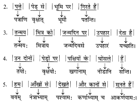 Class 7 Sanskrit Grammar Book Solutions वाक्यरचना तथा अनुवादः 2