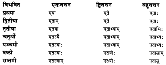 Class 7 Sanskrit Grammar Book Solutions शब्दरूपाणि 10