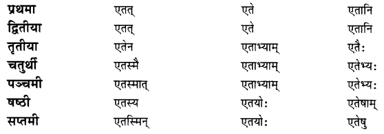 Class 7 Sanskrit Grammar Book Solutions शब्दरूपाणि 11