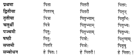 Class 7 Sanskrit Grammar Book Solutions शब्दरूपाणि 5