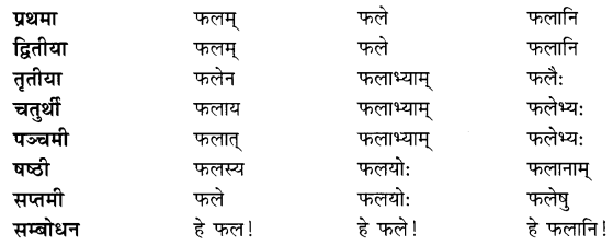 Class 7 Sanskrit Grammar Book Solutions शब्दरूपाणि 8