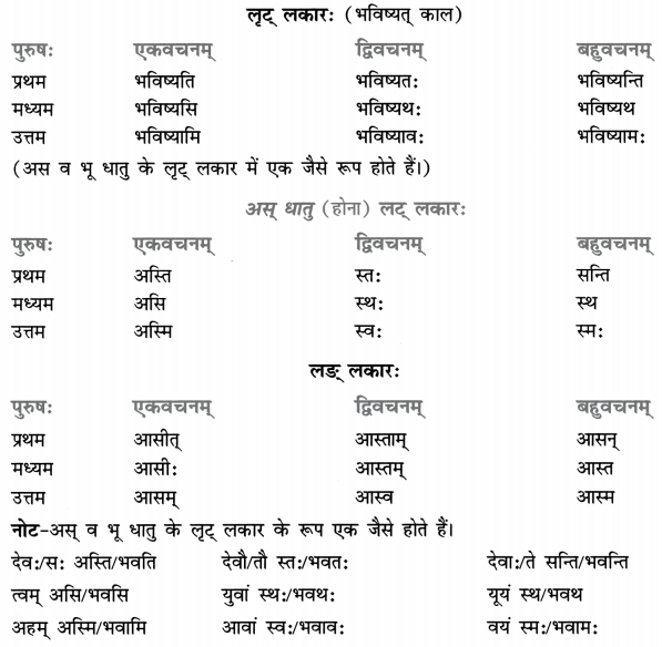 Class 8 Sanskrit Grammar Book Solutions धातुरूप-प्रकरणम् 2