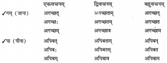 Class 8 Sanskrit Grammar Book Solutions धातुरूप-प्रकरणम् 6