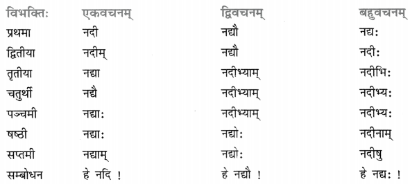 Class 8 Sanskrit Grammar Book Solutions शब्द-रूपाणि 10