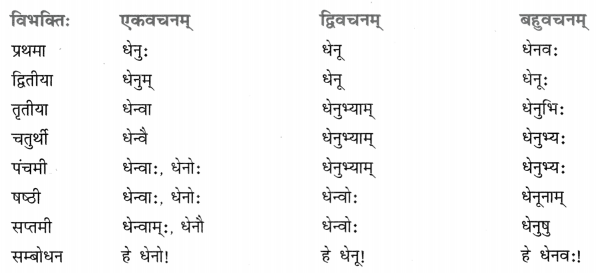 Class 8 Sanskrit Grammar Book Solutions शब्द-रूपाणि 13