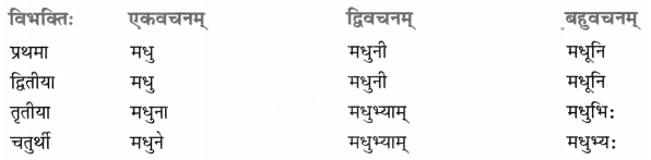 Class 8 Sanskrit Grammar Book Solutions शब्द-रूपाणि 14