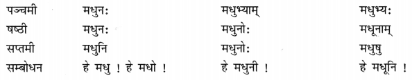 Class 8 Sanskrit Grammar Book Solutions शब्द-रूपाणि 15