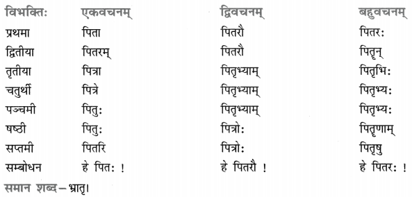 Class 8 Sanskrit Grammar Book Solutions शब्द-रूपाणि 16