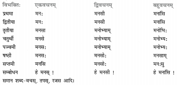 Class 8 Sanskrit Grammar Book Solutions शब्द-रूपाणि 20