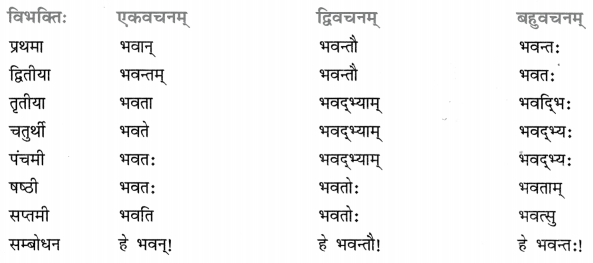 Class 8 Sanskrit Grammar Book Solutions शब्द-रूपाणि 21