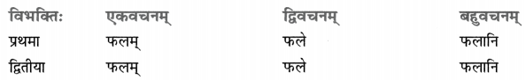 Class 8 Sanskrit Grammar Book Solutions शब्द-रूपाणि 3