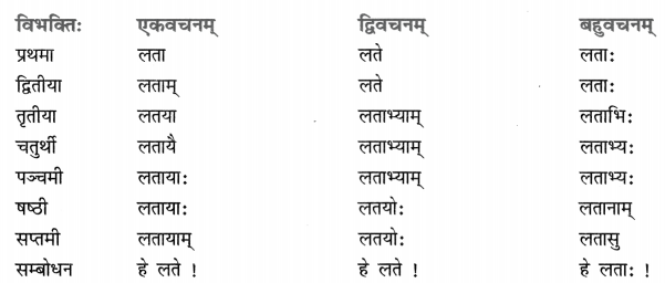 Class 8 Sanskrit Grammar Book Solutions शब्द-रूपाणि 4