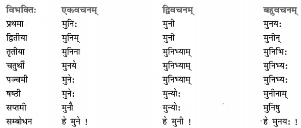 Class 8 Sanskrit Grammar Book Solutions शब्द-रूपाणि 5