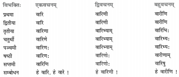 Class 8 Sanskrit Grammar Book Solutions शब्द-रूपाणि 6