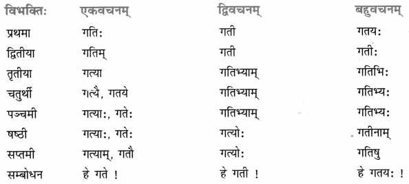 Class 8 Sanskrit Grammar Book Solutions शब्द-रूपाणि 8