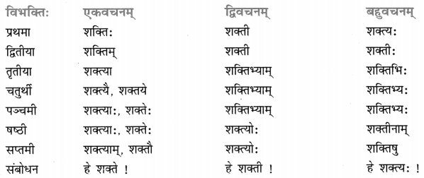 Class 8 Sanskrit Grammar Book Solutions शब्द-रूपाणि 9
