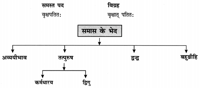 Class 8 Sanskrit Grammar Book Solutions समास-प्रकरणम्