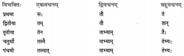 Class 8 Sanskrit Grammar Book Solutions सर्वनाम-प्रकरणम् 1